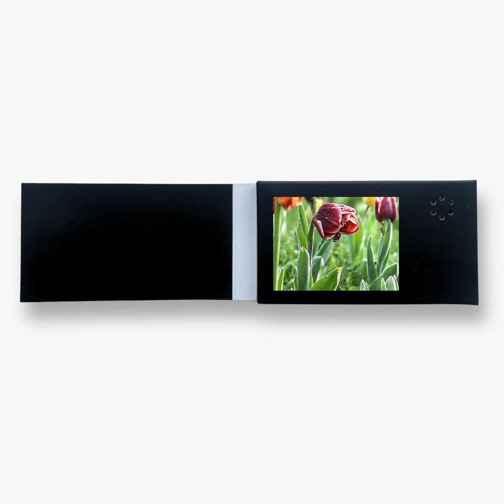 MINI Video Card